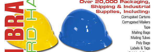 Code name 2025 hard hat